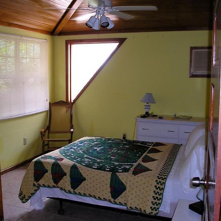 Green Parrot Beach Houses And Resort Placencia Luaran gambar
