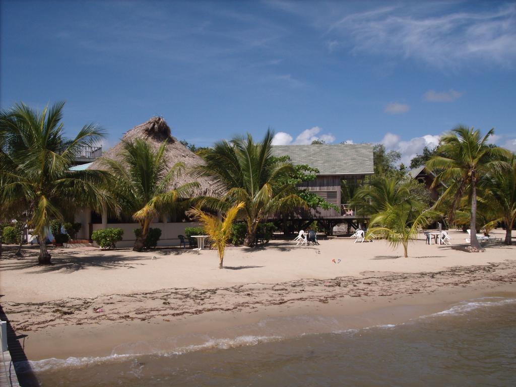 Green Parrot Beach Houses And Resort Placencia Luaran gambar