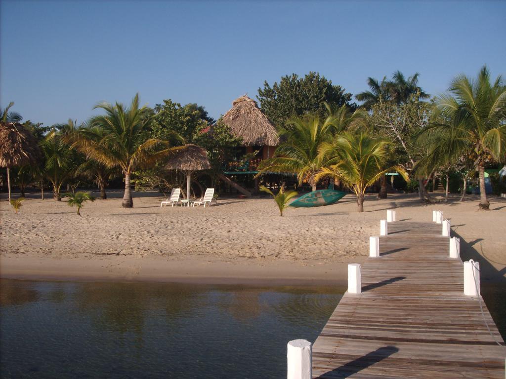 Green Parrot Beach Houses And Resort Placencia Luaran gambar
