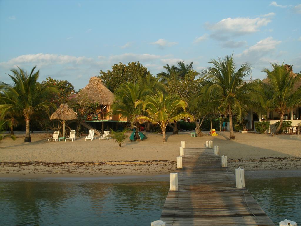 Green Parrot Beach Houses And Resort Placencia Luaran gambar