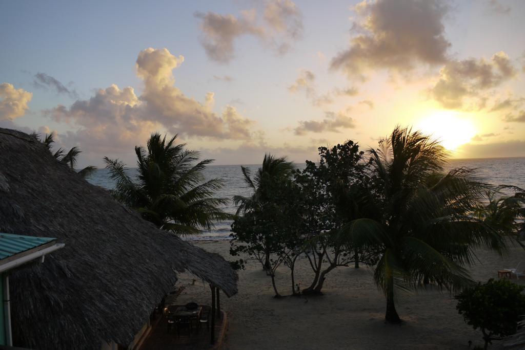 Green Parrot Beach Houses And Resort Placencia Luaran gambar