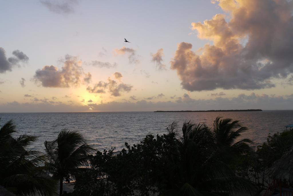 Green Parrot Beach Houses And Resort Placencia Luaran gambar