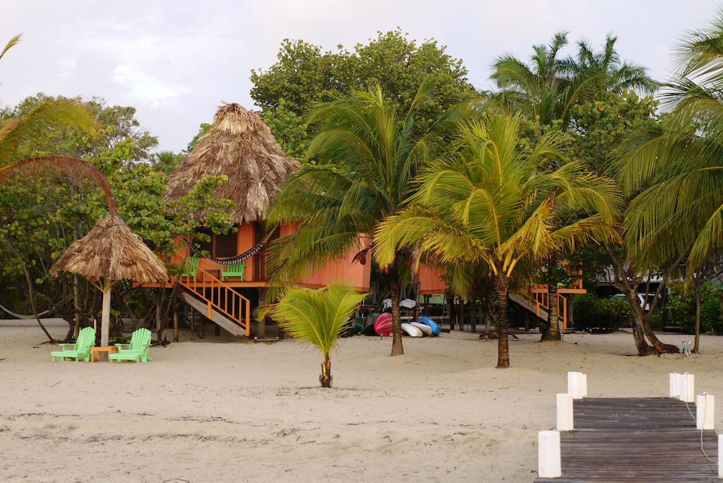 Green Parrot Beach Houses And Resort Placencia Luaran gambar