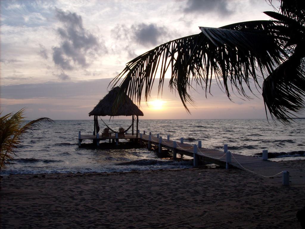 Green Parrot Beach Houses And Resort Placencia Luaran gambar