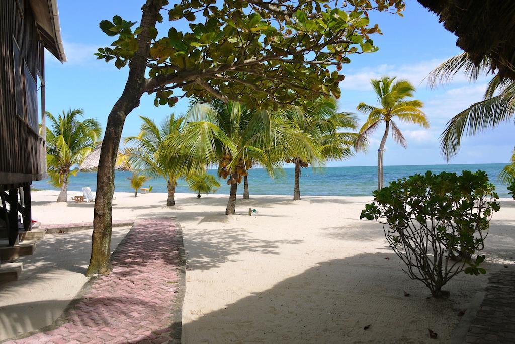 Green Parrot Beach Houses And Resort Placencia Luaran gambar
