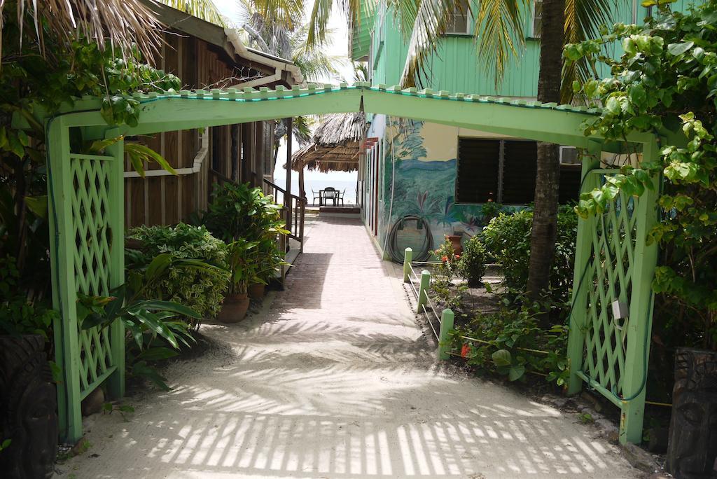 Green Parrot Beach Houses And Resort Placencia Luaran gambar