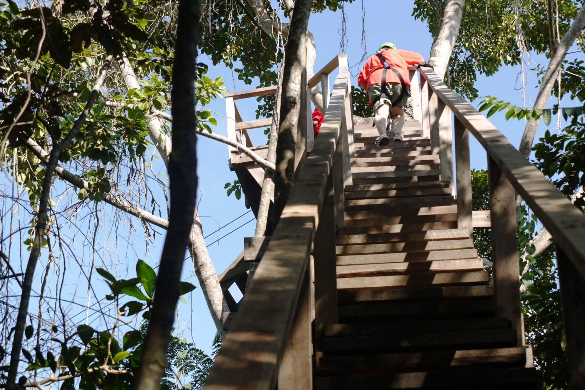 Green Parrot Beach Houses And Resort Placencia Luaran gambar