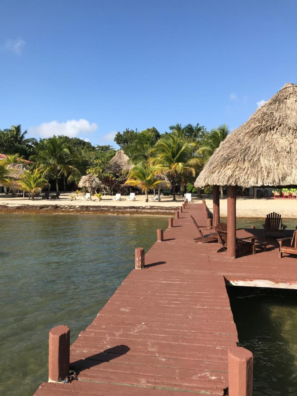 Green Parrot Beach Houses And Resort Placencia Luaran gambar