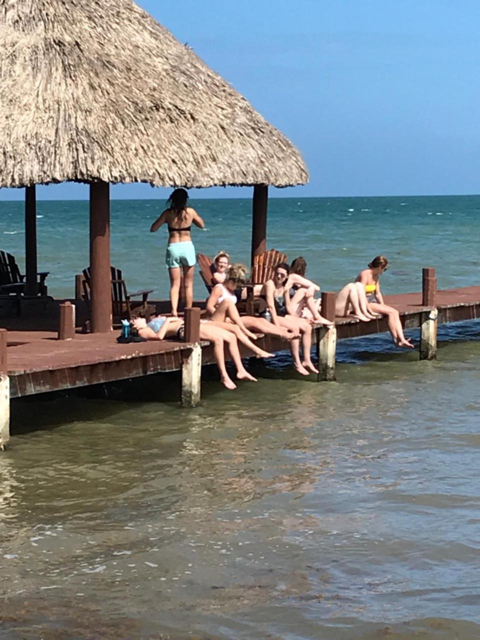 Green Parrot Beach Houses And Resort Placencia Luaran gambar