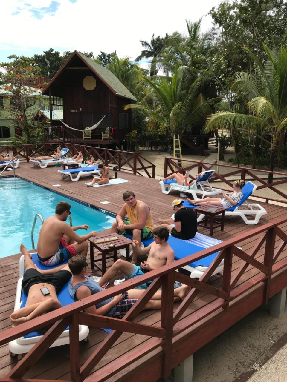 Green Parrot Beach Houses And Resort Placencia Luaran gambar