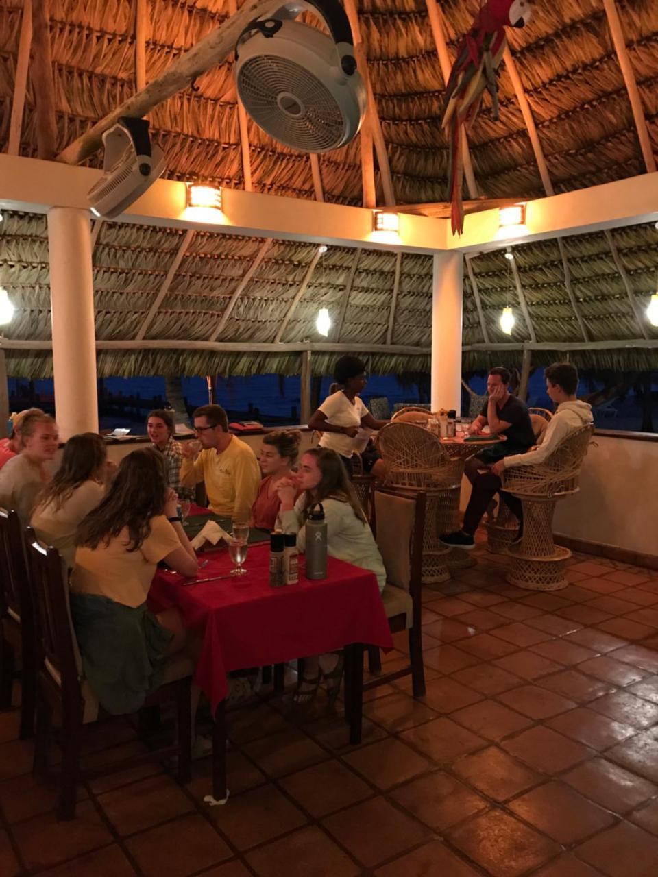Green Parrot Beach Houses And Resort Placencia Luaran gambar