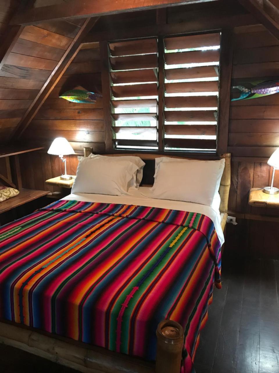 Green Parrot Beach Houses And Resort Placencia Luaran gambar