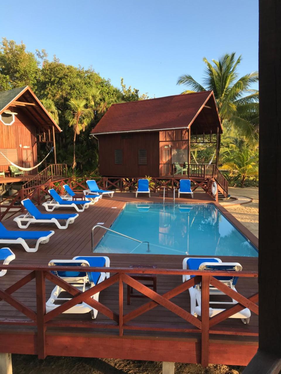 Green Parrot Beach Houses And Resort Placencia Luaran gambar