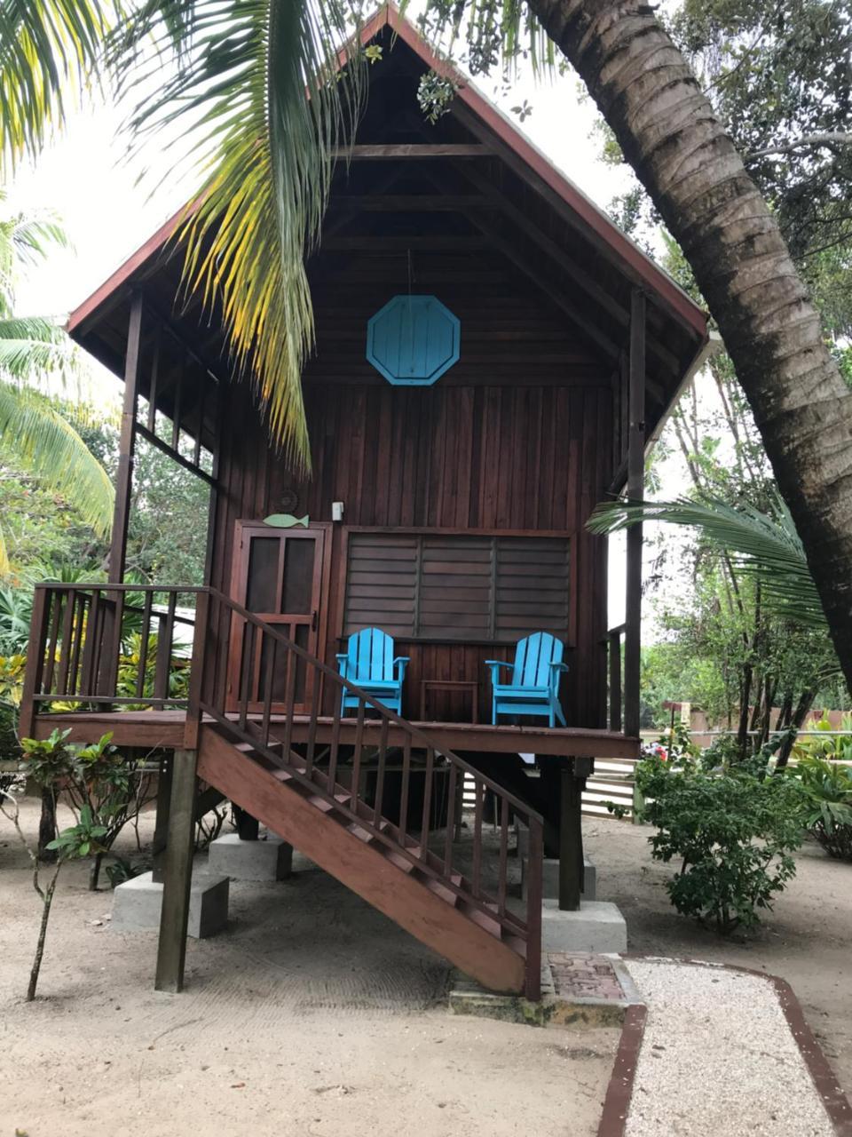 Green Parrot Beach Houses And Resort Placencia Luaran gambar